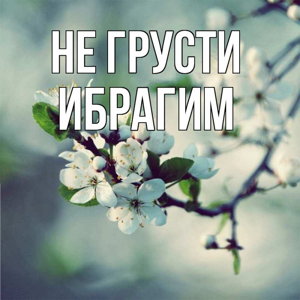 Открытка на каждый день с именем, Ибрагим Не грусти яблоня в цвету 1 Прикольная открытка с пожеланием онлайн скачать бесплатно 