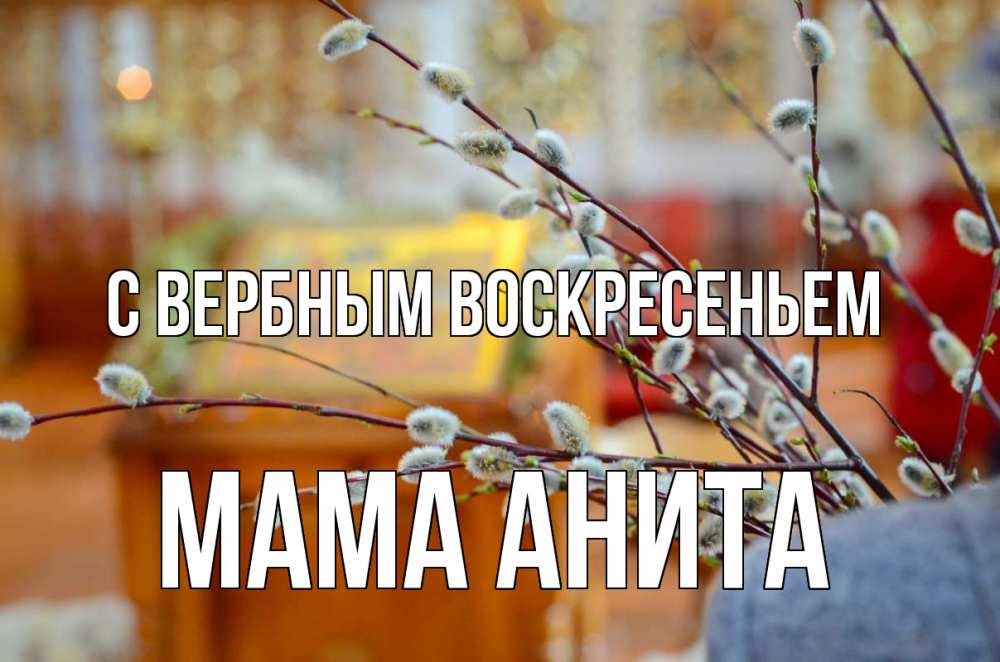 Открытка на каждый день с именем, Мама-Анита С вербным воскресеньем верба Прикольная открытка с пожеланием онлайн скачать бесплатно 