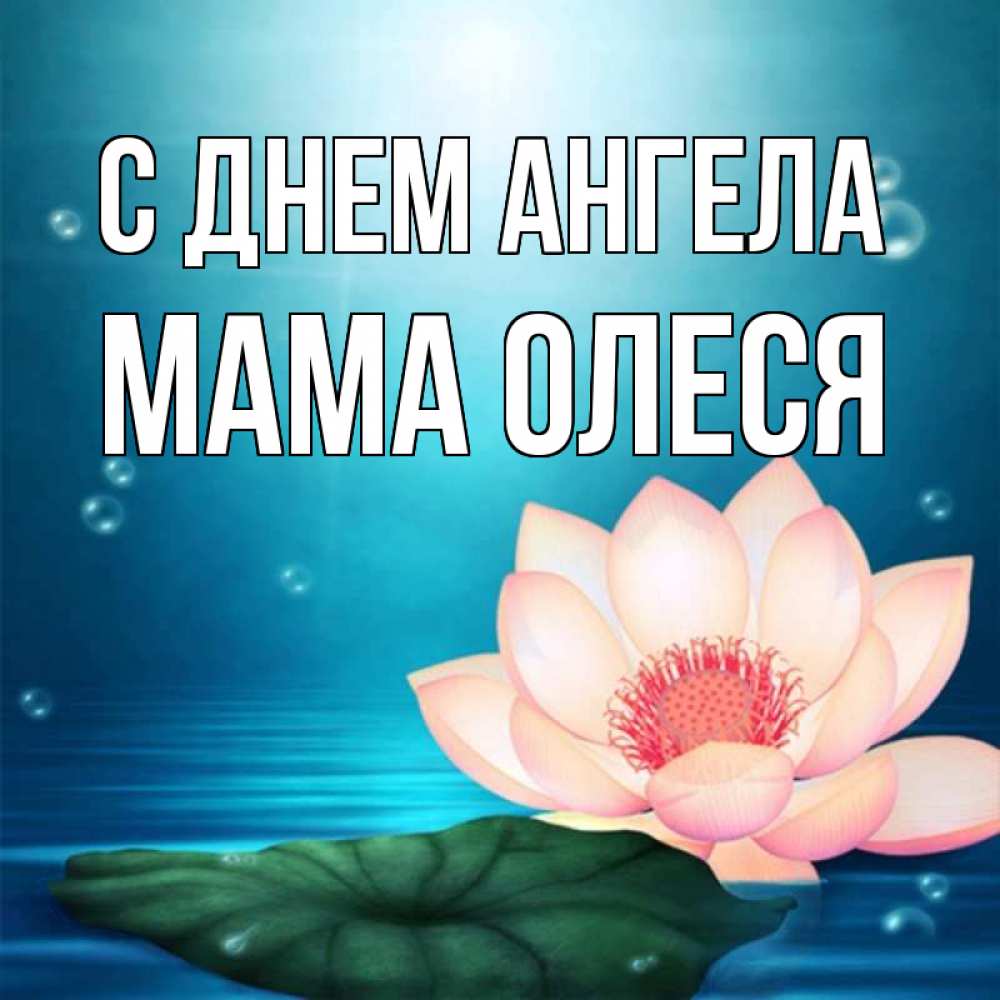 Открытка на каждый день с именем, Мама-Олеся С днем ангела кувшинка Прикольная открытка с пожеланием онлайн скачать бесплатно 