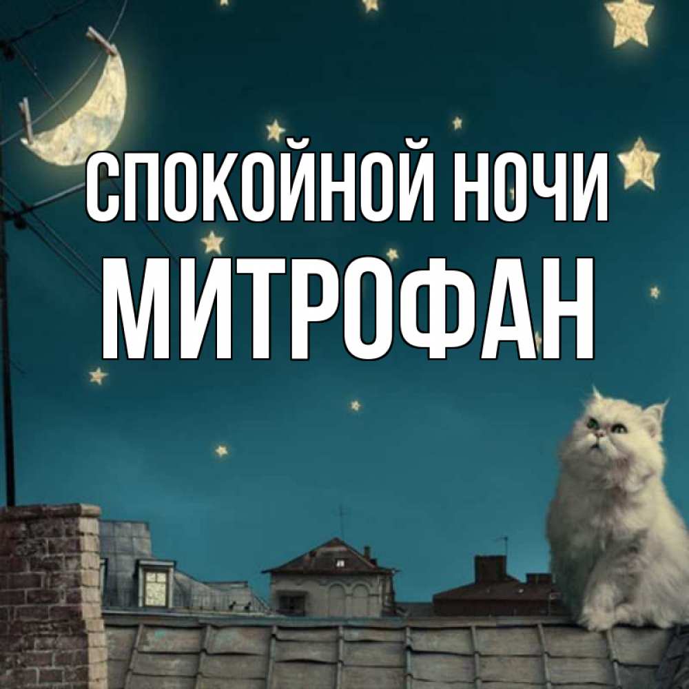Открытка на каждый день с именем, Митрофан Спокойной ночи белый кот сидит на крыше Прикольная открытка с пожеланием онлайн скачать бесплатно 