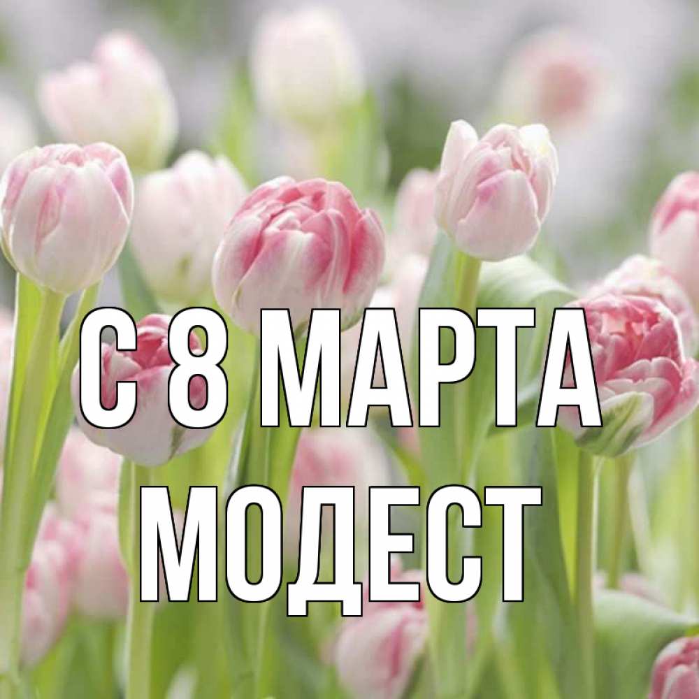 Открытка на каждый день с именем, Модест С 8 марта цветы Прикольная открытка с пожеланием онлайн скачать бесплатно 