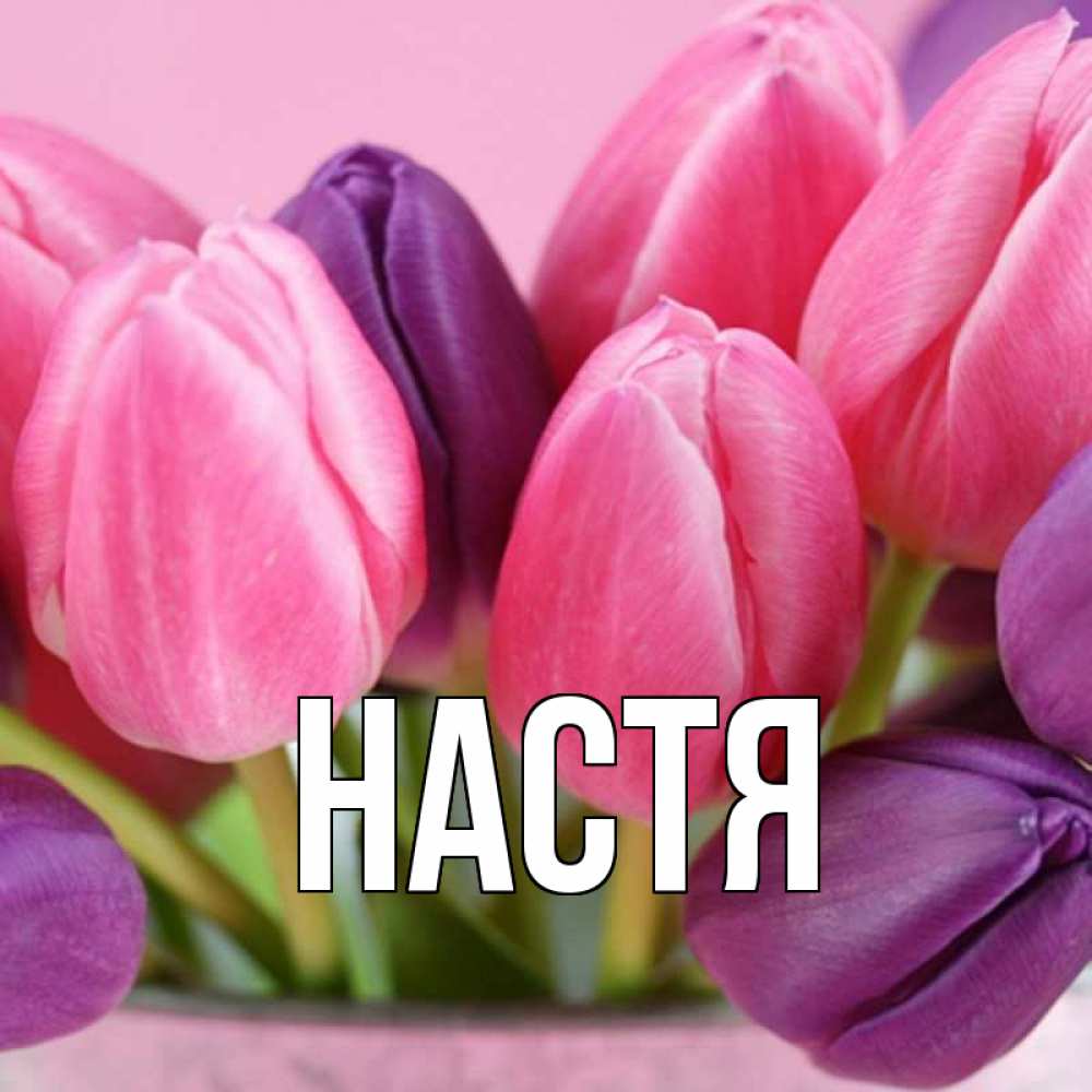 Открытка на каждый день с именем, Настя Главная маме 1 Прикольная открытка с пожеланием онлайн скачать бесплатно 