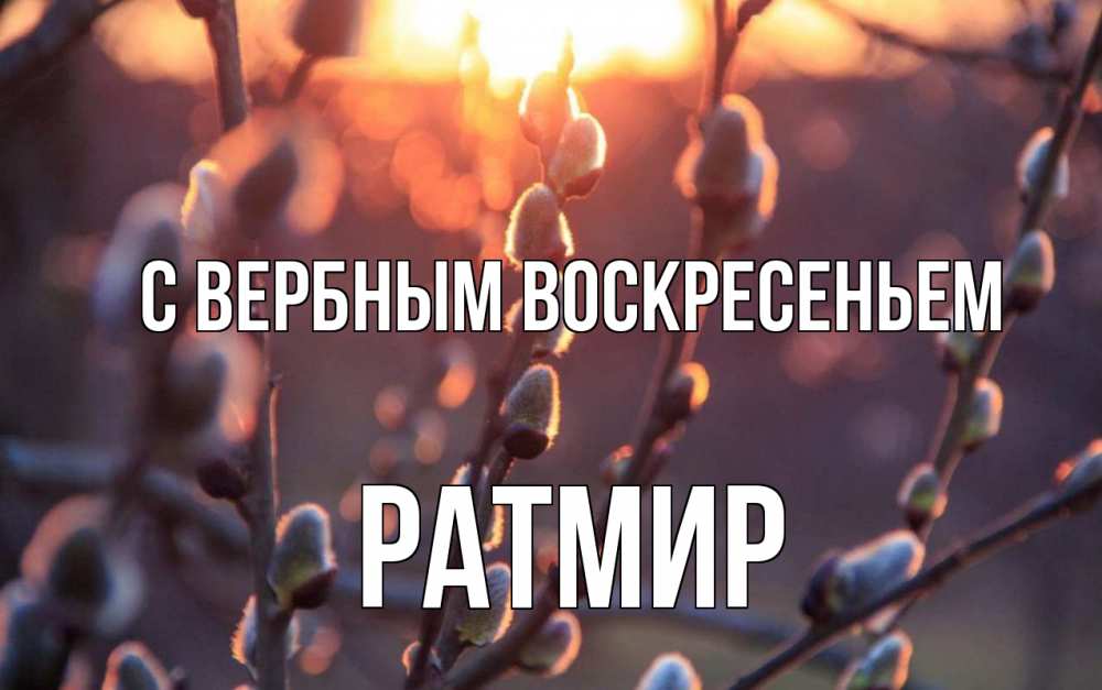 Открытка на каждый день с именем, Ратмир С вербным воскресеньем верба Прикольная открытка с пожеланием онлайн скачать бесплатно 