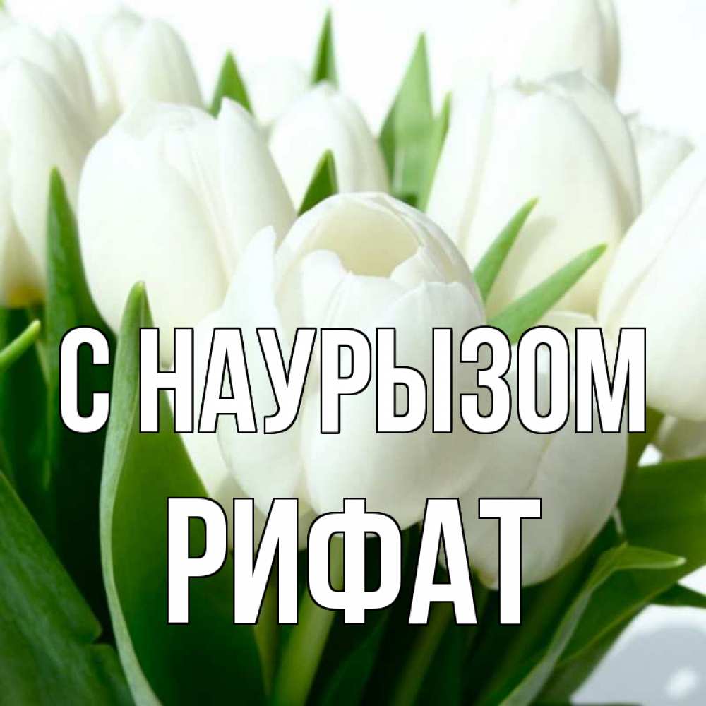 Открытка на каждый день с именем, Рифат С наурызом цветы Прикольная открытка с пожеланием онлайн скачать бесплатно 