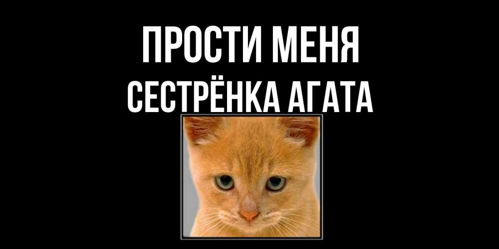 Открытка на каждый день с именем, Сестрёнка-Агата Прости меня рыжий грустный кот просит прощения Прикольная открытка с пожеланием онлайн скачать бесплатно 