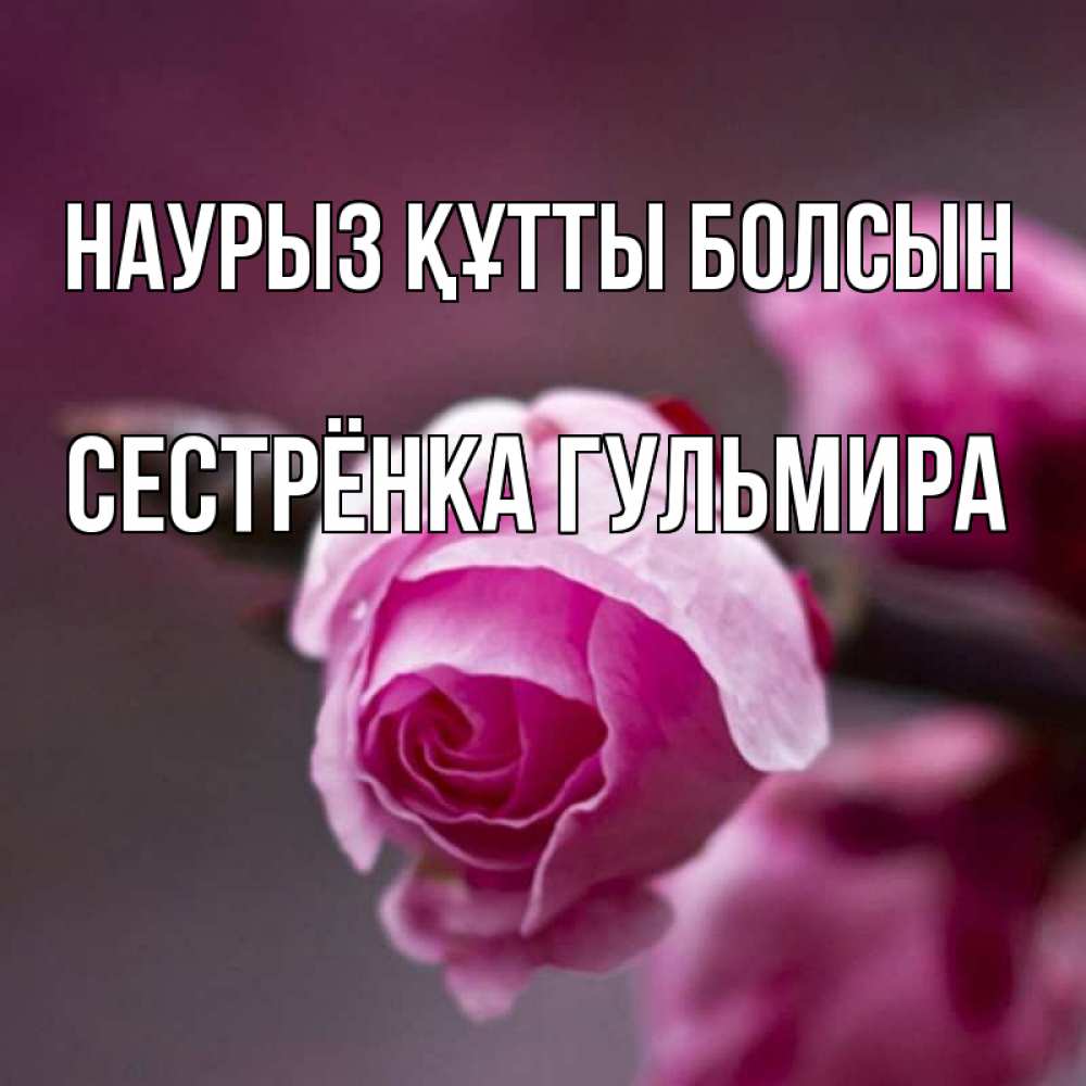 Открытка на каждый день с именем, Сестрёнка-Гульмира Наурыз құтты болсын весна Прикольная открытка с пожеланием онлайн скачать бесплатно 