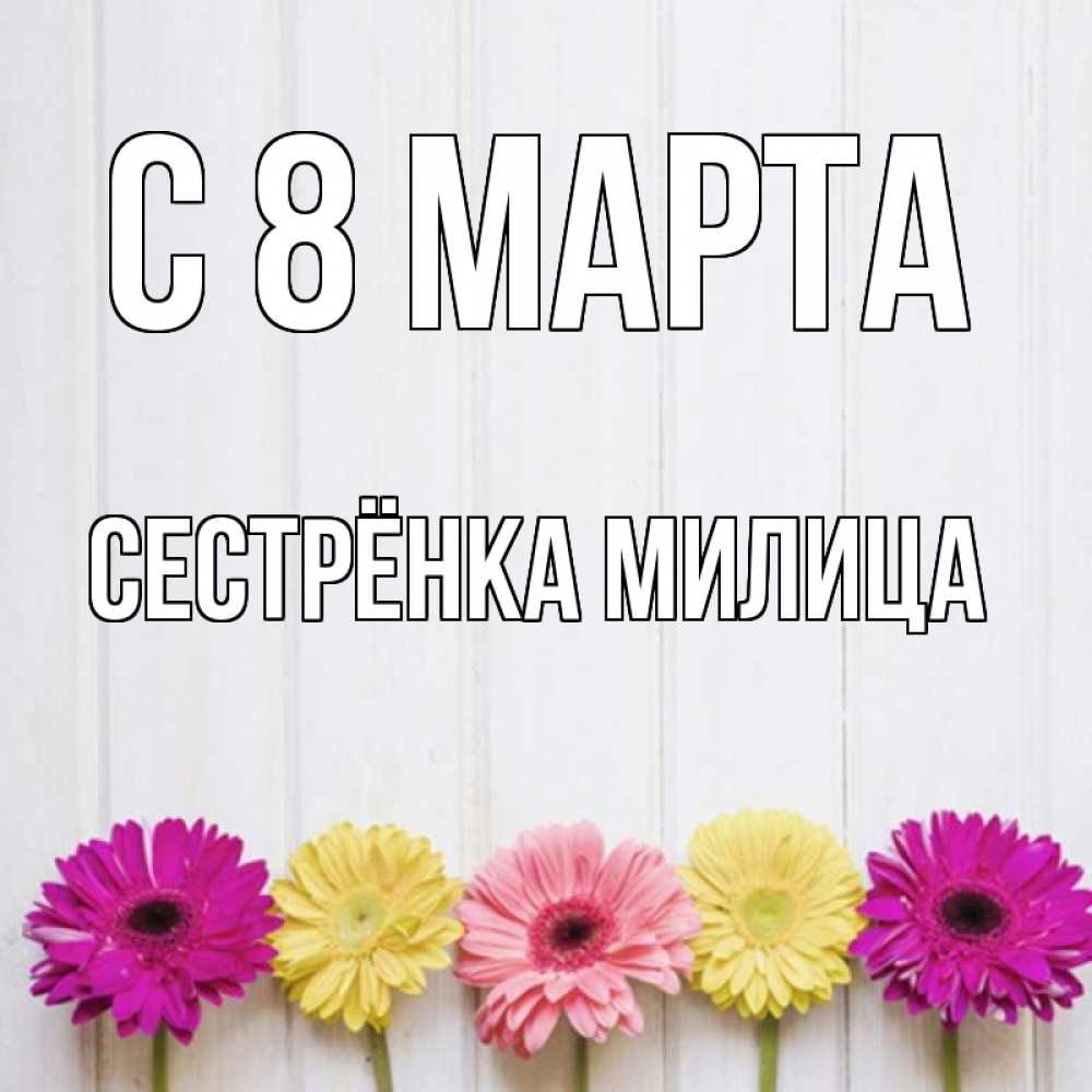 Открытка на каждый день с именем, Сестрёнка-Милица С 8 марта женщинам 1 Прикольная открытка с пожеланием онлайн скачать бесплатно 