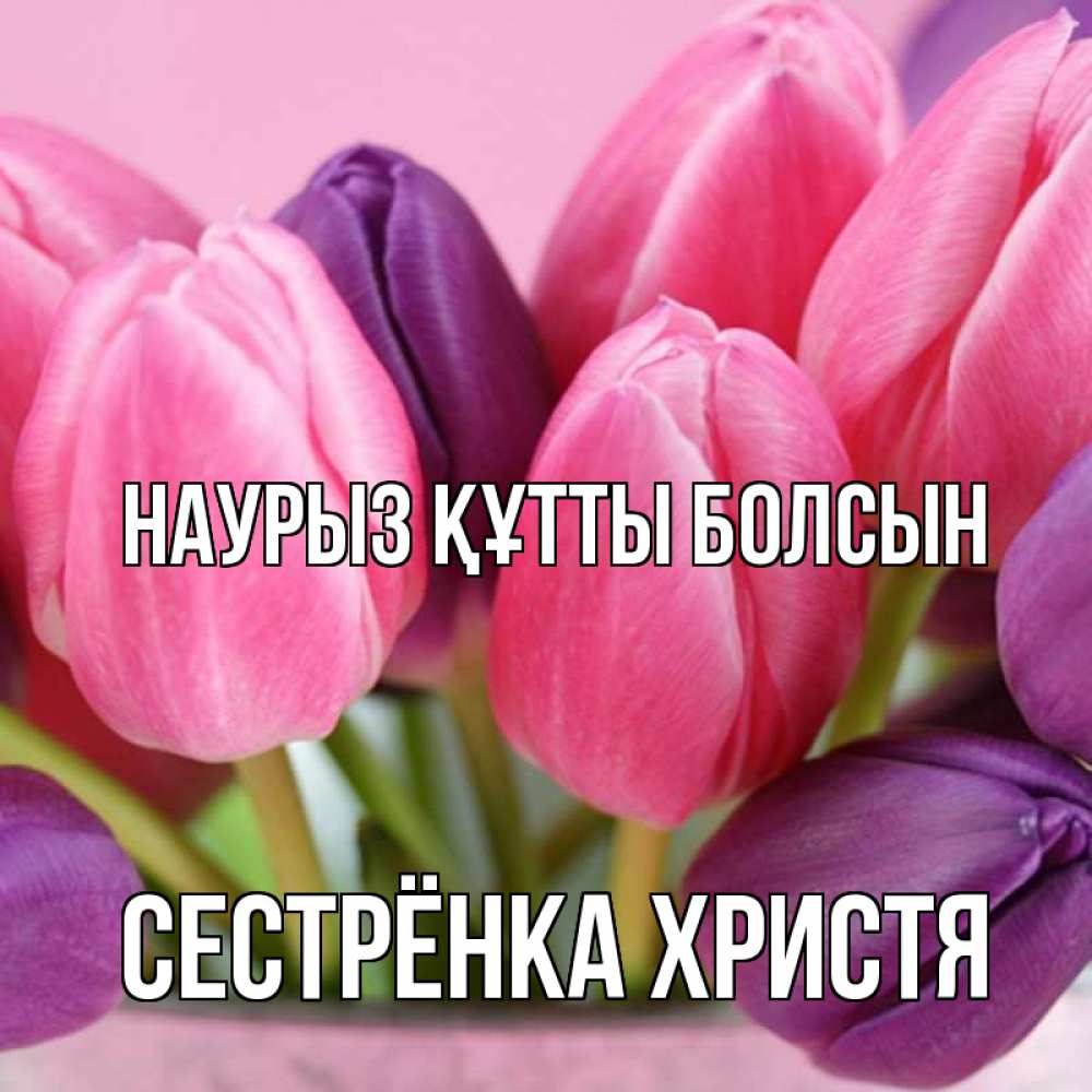Открытка на каждый день с именем, Сестрёнка-Христя Наурыз құтты болсын маме 1 Прикольная открытка с пожеланием онлайн скачать бесплатно 