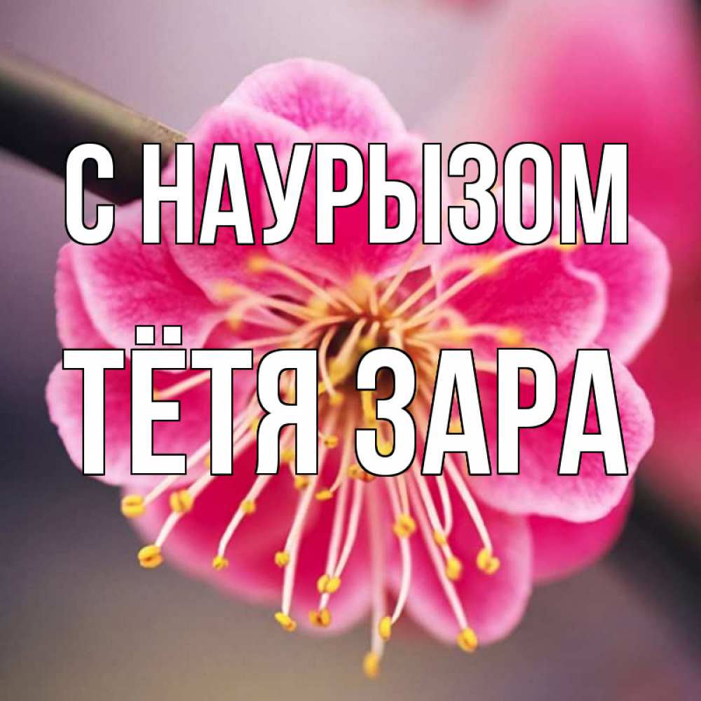 Открытка на каждый день с именем, Тётя-Зара С наурызом цветы Прикольная открытка с пожеланием онлайн скачать бесплатно 
