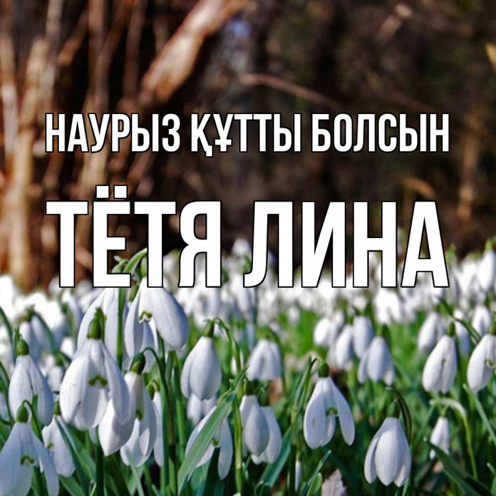 Открытка на каждый день с именем, Тётя-Лина Наурыз құтты болсын с подснежниками 1 Прикольная открытка с пожеланием онлайн скачать бесплатно 