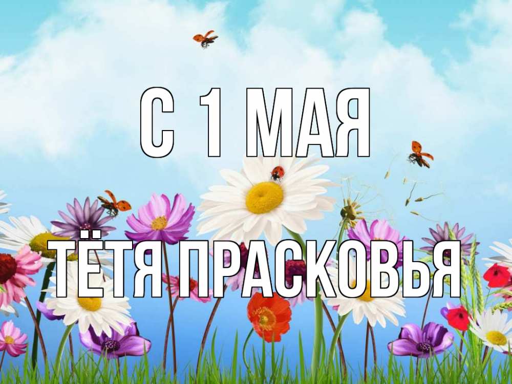 Открытка на каждый день с именем, Тётя-Прасковья С 1 мая С 1 мая Прикольная открытка с пожеланием онлайн скачать бесплатно 