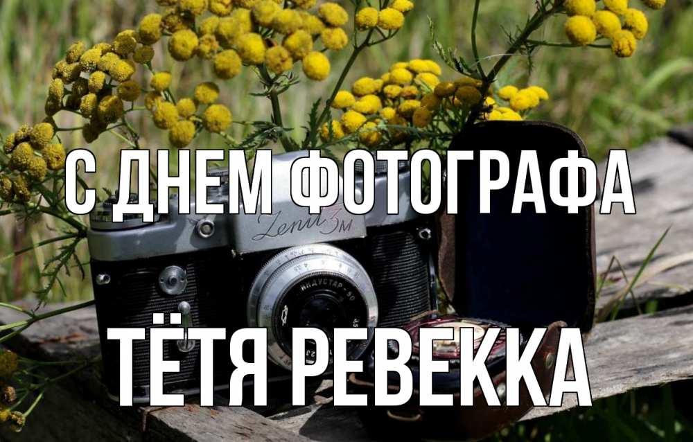 Открытка на каждый день с именем, Тётя-Ревекка С днем фотографа с днем фотографа Прикольная открытка с пожеланием онлайн скачать бесплатно 