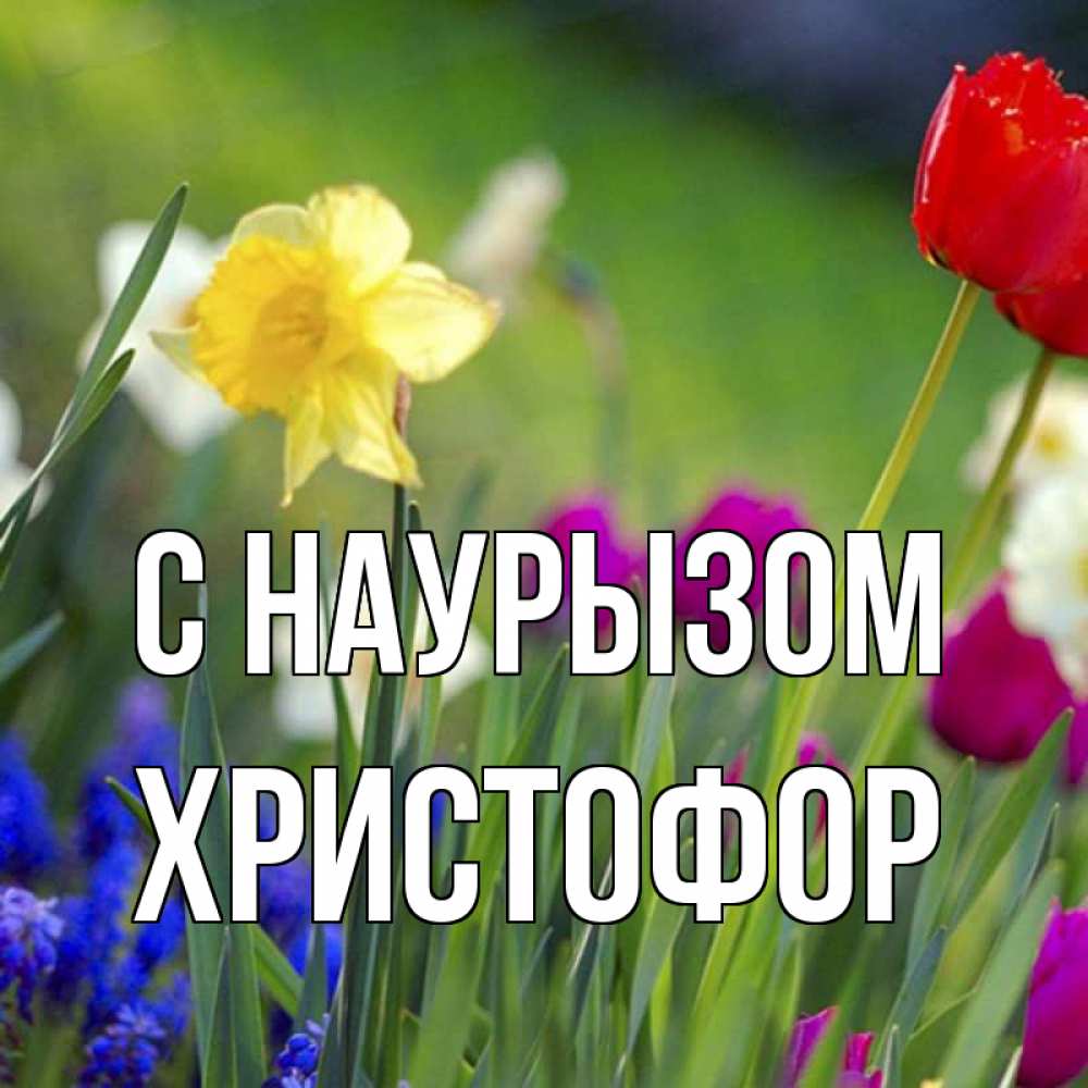 Открытка на каждый день с именем, Христофор С наурызом праздник весны наурыз 3 Прикольная открытка с пожеланием онлайн скачать бесплатно 