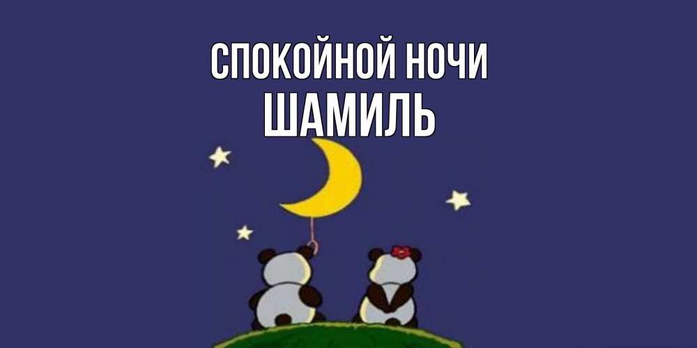 Открытка на каждый день с именем, Шамиль Спокойной ночи открытка с пожеланиями хорошо выспаться Прикольная открытка с пожеланием онлайн скачать бесплатно 