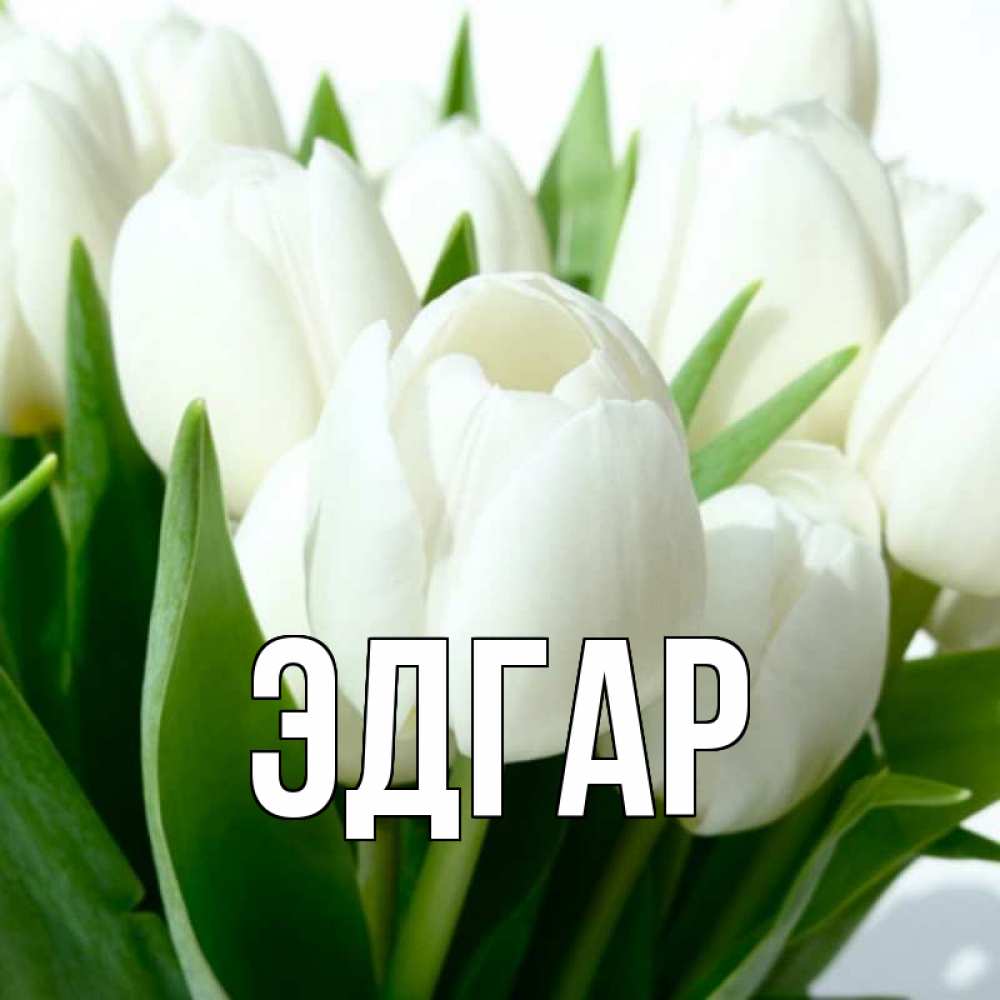 Открытка на каждый день с именем, Эдгар Главная цветы Прикольная открытка с пожеланием онлайн скачать бесплатно 