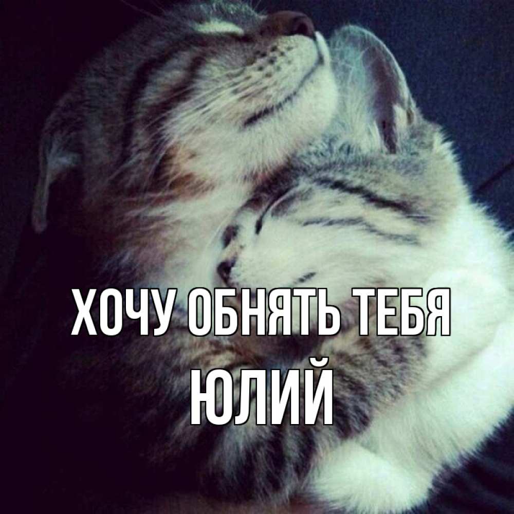 Открытка на каждый день с именем, Юлий Хочу обнять тебя полосатики Прикольная открытка с пожеланием онлайн скачать бесплатно 