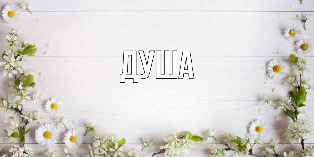 Открытка на каждый день с именем, Душа Главная Воздушные шары Прикольная открытка с пожеланием онлайн скачать бесплатно 