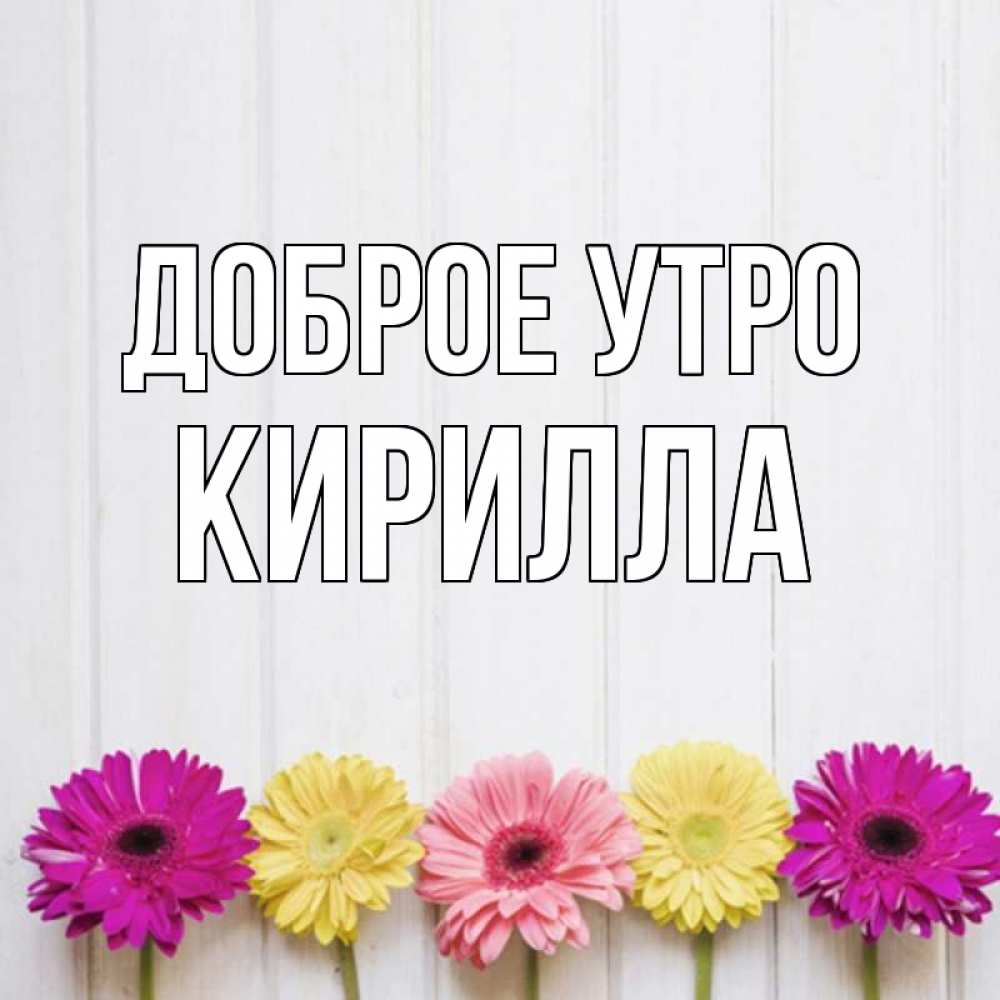 Открытка на каждый день с именем, Кирилла Доброе утро красный желтый и розовый цветок Прикольная открытка с пожеланием онлайн скачать бесплатно 