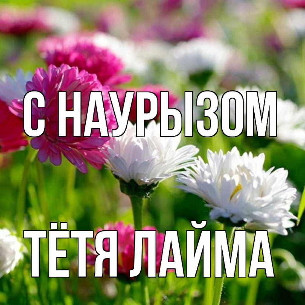 Открытка на каждый день с именем, Тётя-Лайма С наурызом праздник весны наурыз красота Прикольная открытка с пожеланием онлайн скачать бесплатно 