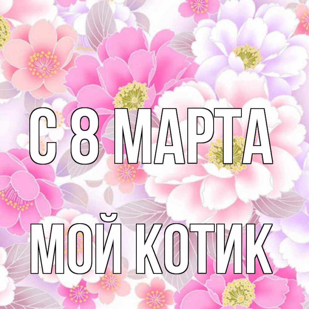 Открытка на каждый день с именем, мой-Котик С 8 МАРТА для женщин Прикольная открытка с пожеланием онлайн скачать бесплатно 