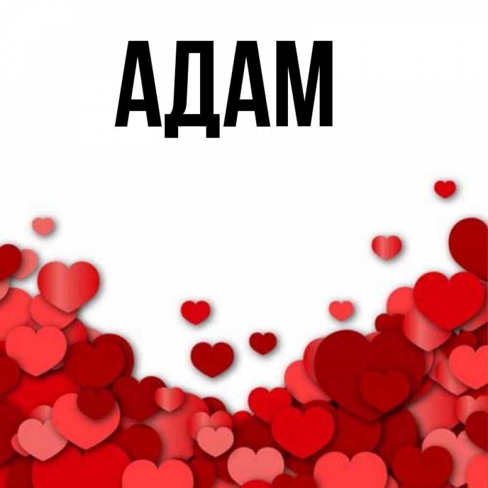 My names adam