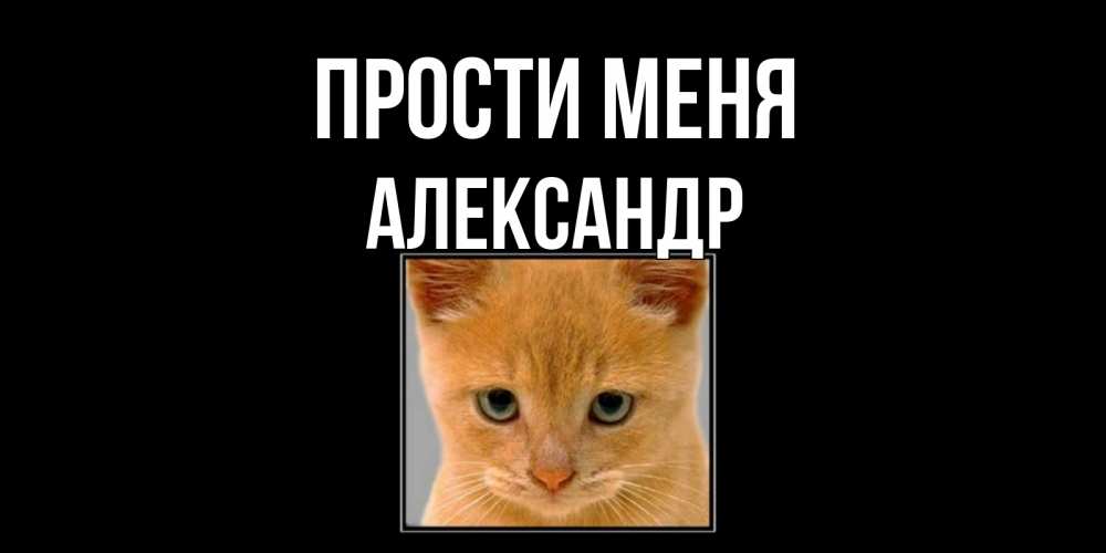 сила прощения проповедь. простите меня котик. прощения александре. прощения александре. аудиотека.