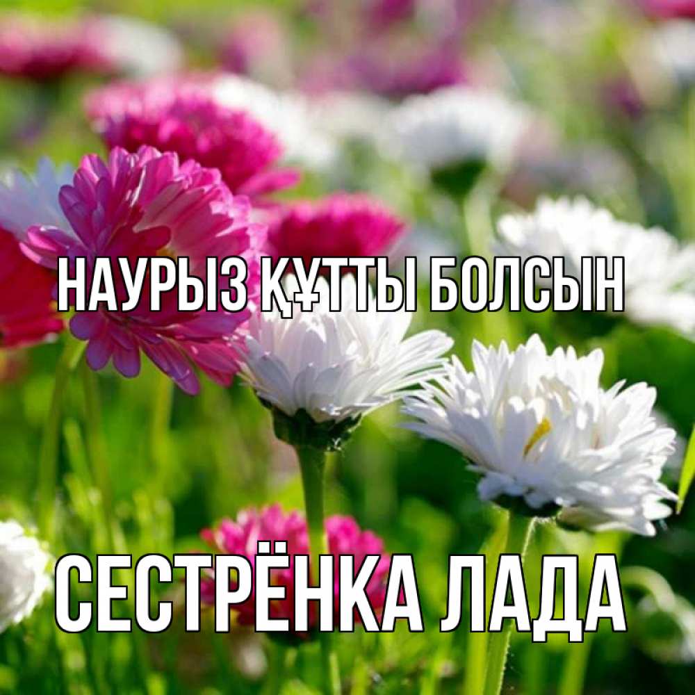 Открытка на каждый день с именем, Сестрёнка-Лада Наурыз құтты болсын наурыз Прикольная открытка с пожеланием онлайн скачать бесплатно 
