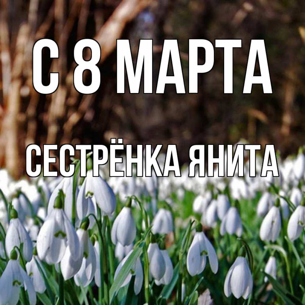 Открытка на каждый день с именем, Сестрёнка-Янита С 8 МАРТА с подснежниками 1 Прикольная открытка с пожеланием онлайн скачать бесплатно 