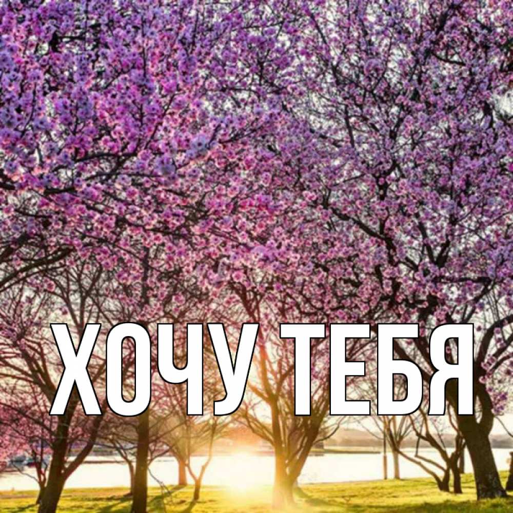 Открытка на каждый день с именем, Хочу-тебя Главная международный женский день Прикольная открытка с пожеланием онлайн скачать бесплатно 