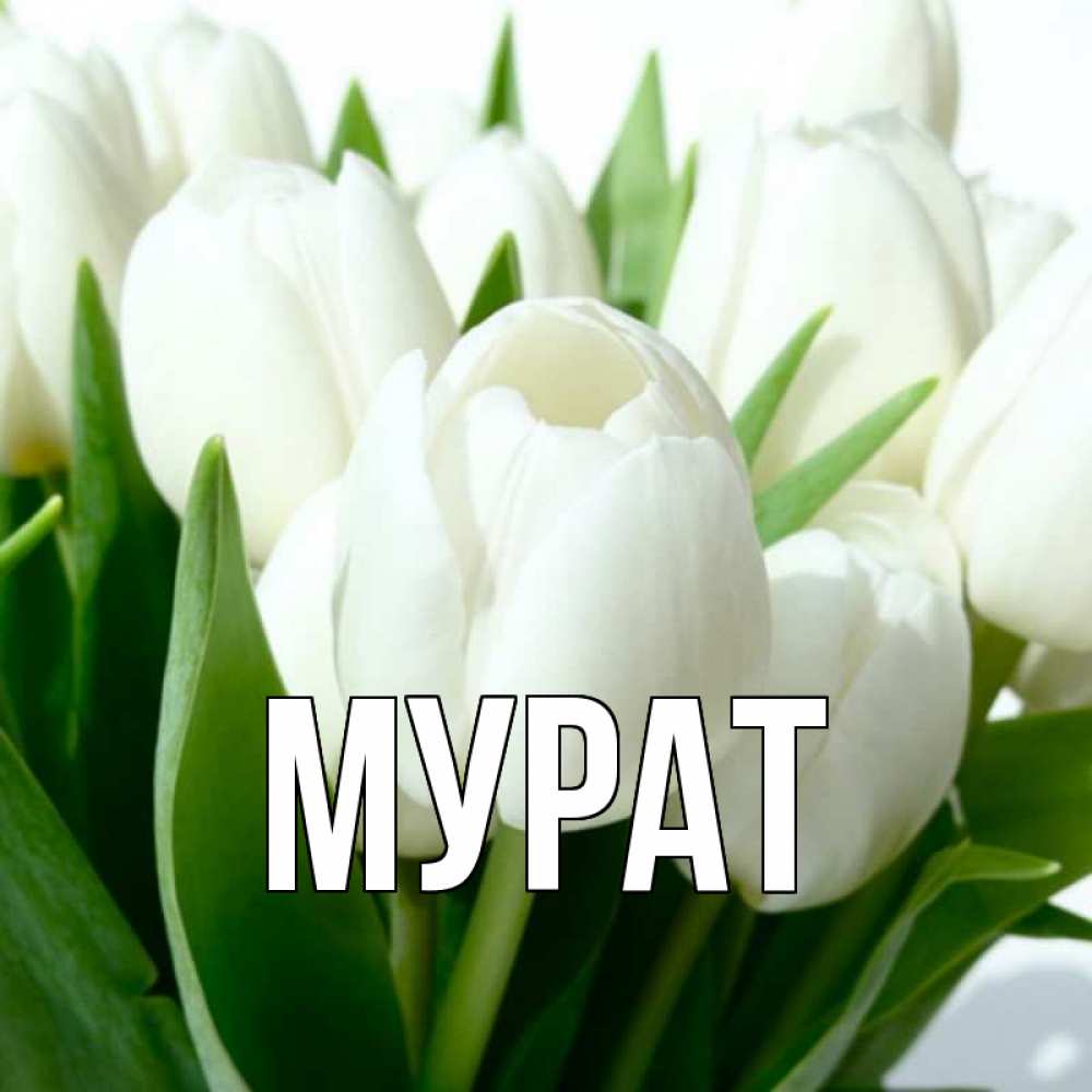 Картинки с именем мурат, днем