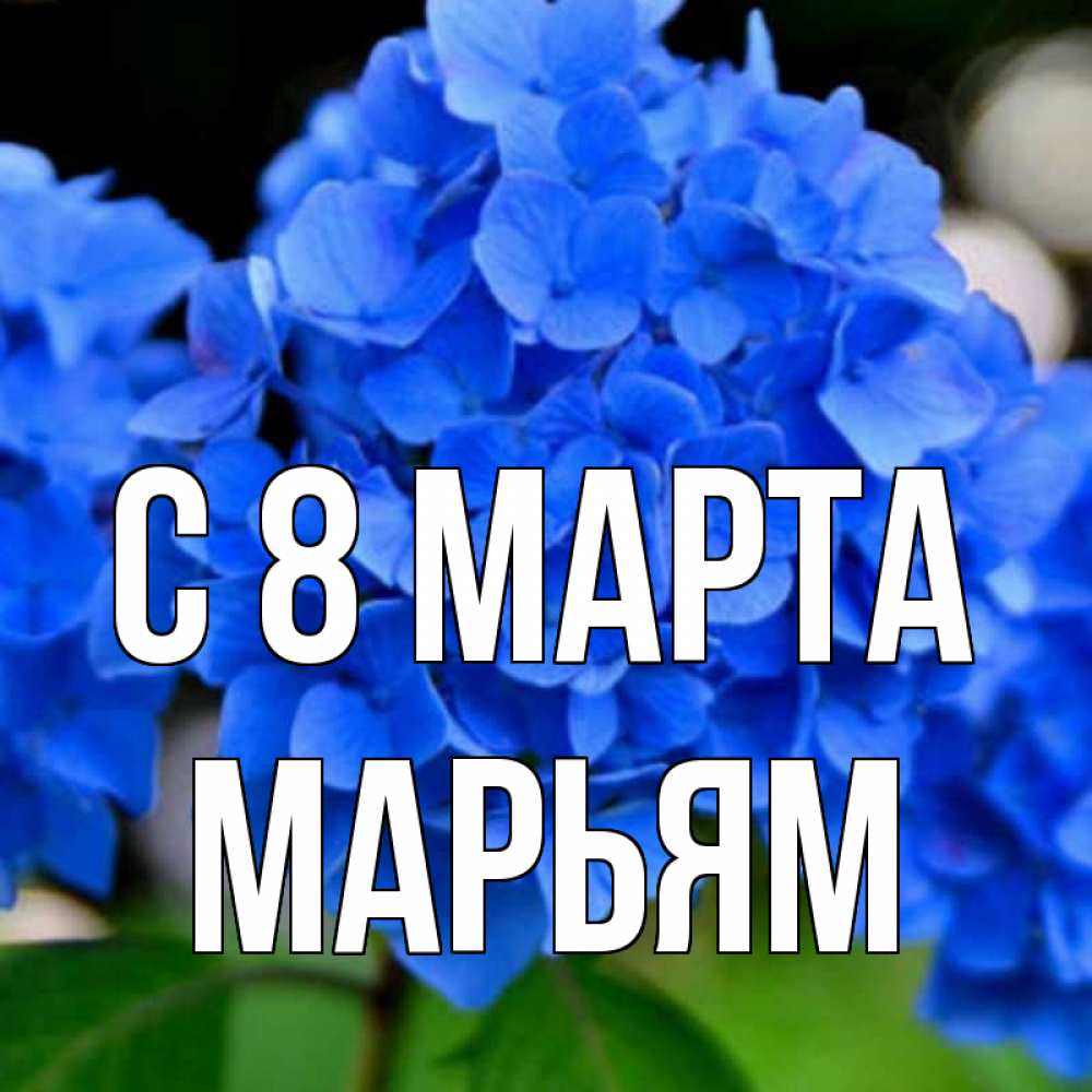 Открытка на каждый день с именем, Марьям С 8 МАРТА синие цветы Прикольная открытка с пожеланием онлайн скачать бесплатно 