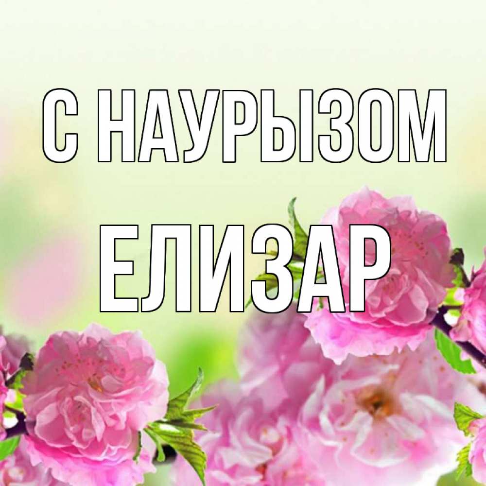 Открытка на каждый день с именем, Елизар С наурызом цветы Прикольная открытка с пожеланием онлайн скачать бесплатно 