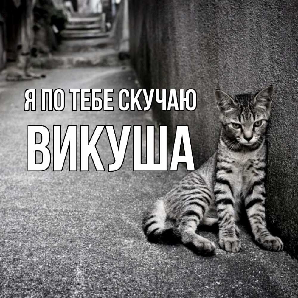 Картинка Я по тебе скучаю, Викуша