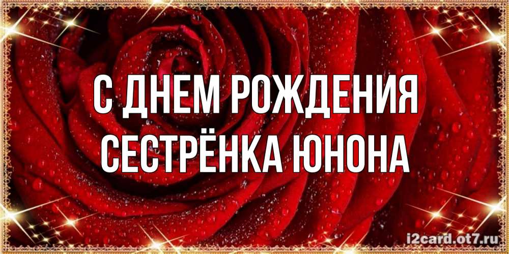 Открытка на каждый день с именем, Сестрёнка-Юнона С днем рождения роса на розе блестящая в лучах солнца Прикольная открытка с пожеланием онлайн скачать бесплатно 