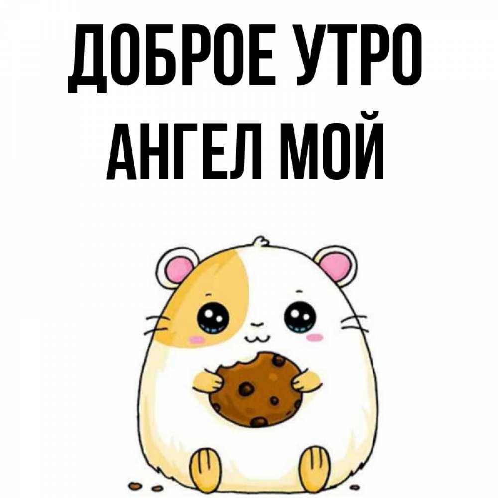Открытка на каждый день с именем, Ангел-мой Доброе утро есть печеньку. Утречко Прикольная открытка с пожеланием онлайн скачать бесплатно 