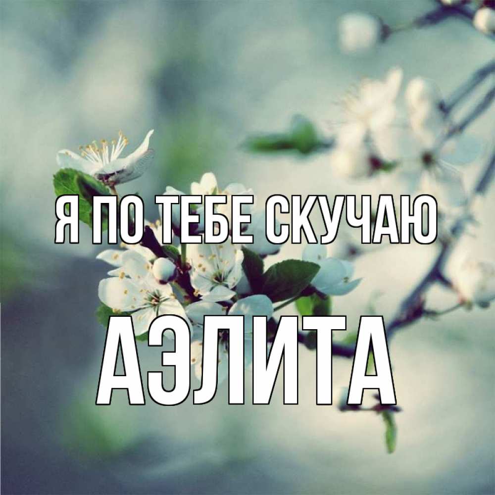 Открытка на каждый день с именем, Аэлита Я по тебе скучаю весна Прикольная открытка с пожеланием онлайн скачать бесплатно 