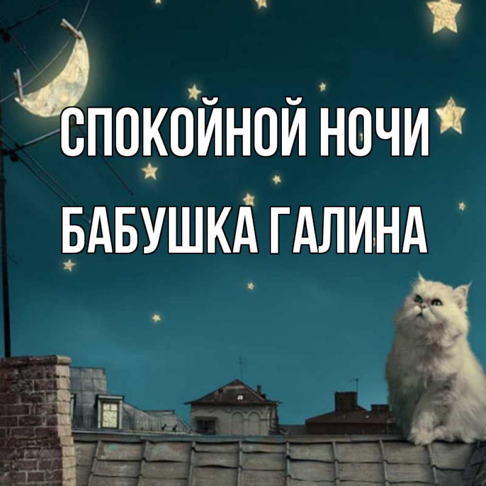 Открытка на каждый день с именем, Бабушка-Галина Спокойной ночи белый кот сидит на крыше Прикольная открытка с пожеланием онлайн скачать бесплатно 