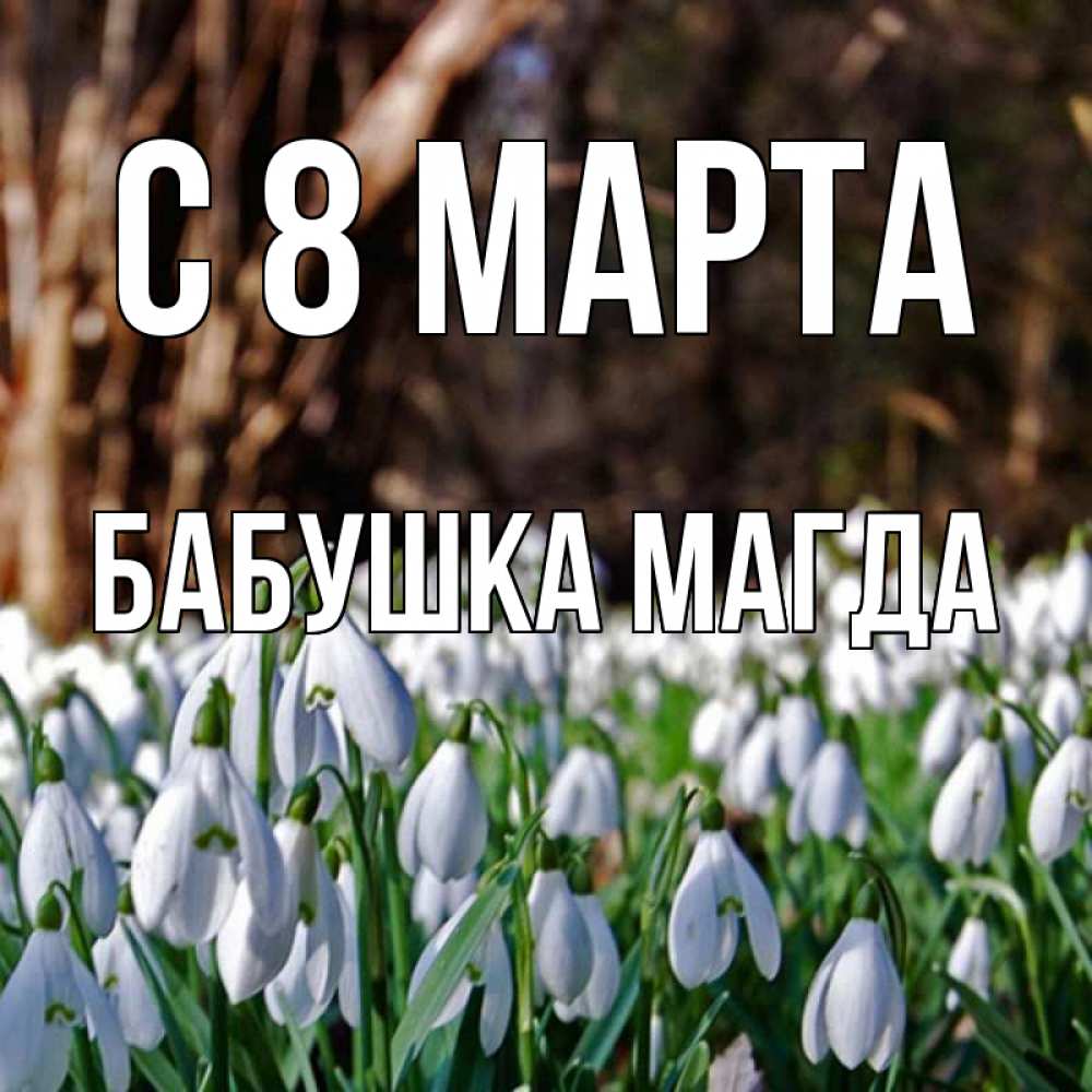 Открытка на каждый день с именем, Бабушка-Магда С 8 МАРТА с подснежниками 1 Прикольная открытка с пожеланием онлайн скачать бесплатно 