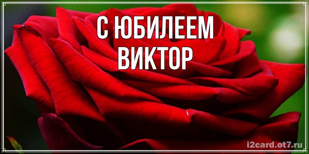 Открытка на каждый день с именем, Виктор С юбилеем розочка очень красивая Прикольная открытка с пожеланием онлайн скачать бесплатно 