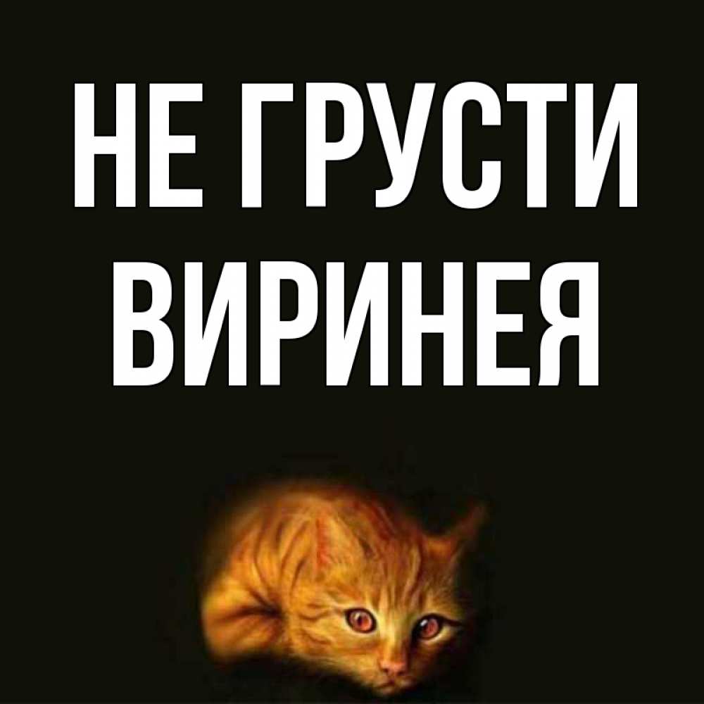 Открытка на каждый день с именем, Виринея Не грусти лежащий кот в темноте Прикольная открытка с пожеланием онлайн скачать бесплатно 