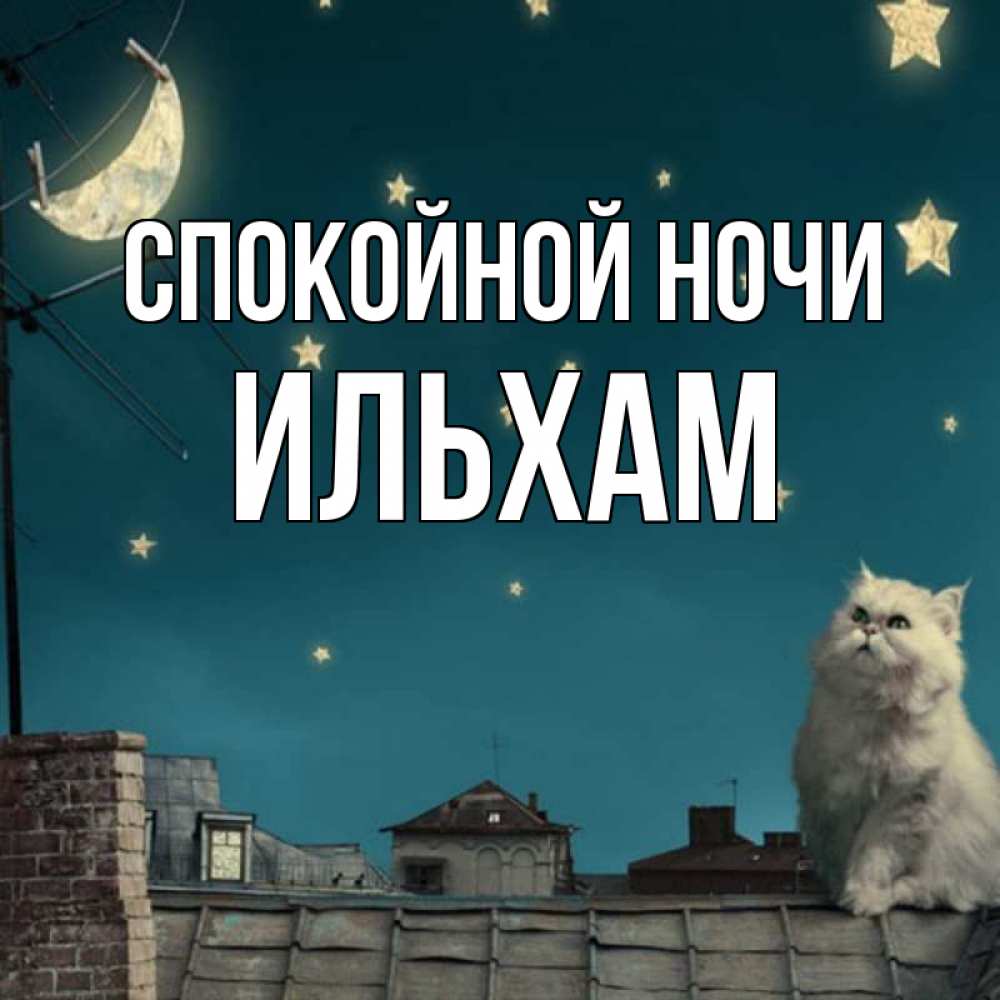 Открытка на каждый день с именем, Ильхам Спокойной ночи белый кот сидит на крыше Прикольная открытка с пожеланием онлайн скачать бесплатно 