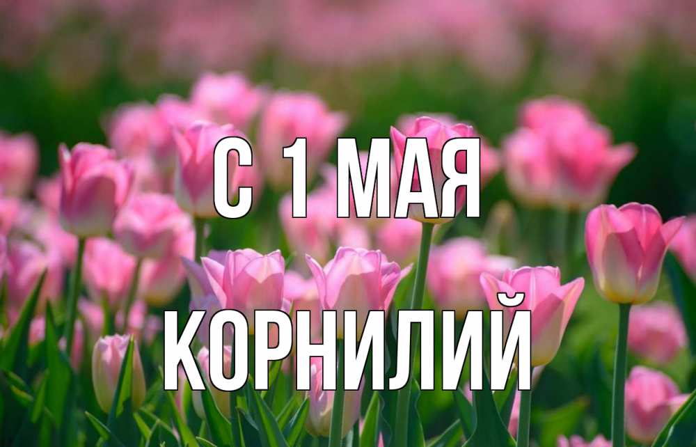 Открытка на каждый день с именем, Корнилий С 1 мая С 1 мая Прикольная открытка с пожеланием онлайн скачать бесплатно 
