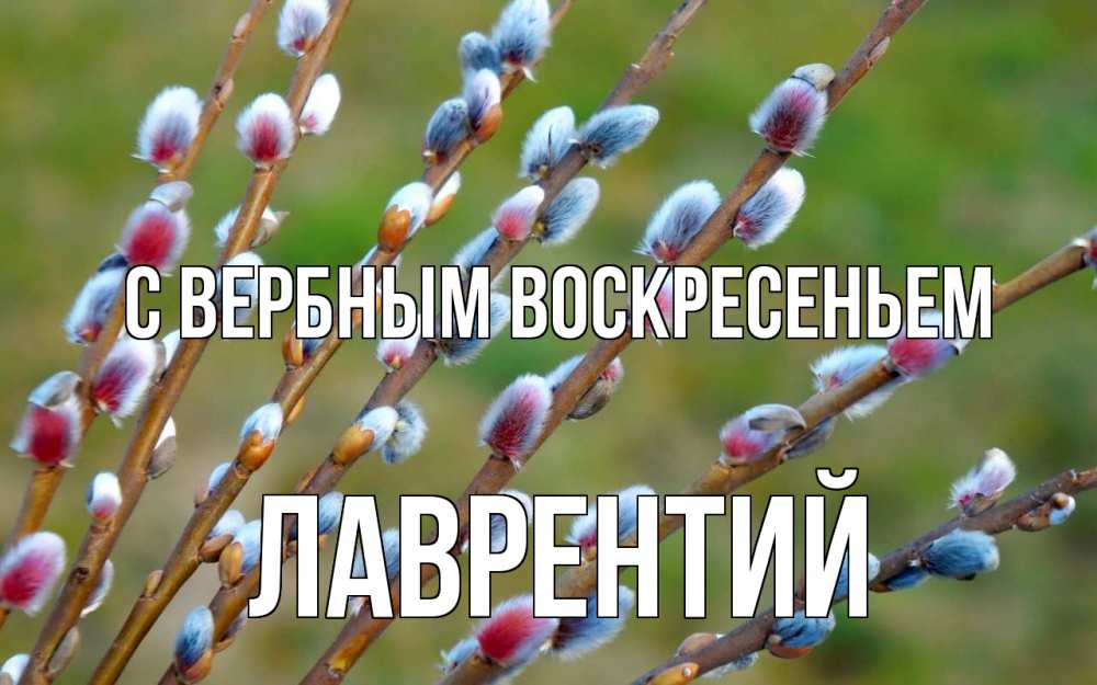 Открытка на каждый день с именем, Лаврентий С вербным воскресеньем верба Прикольная открытка с пожеланием онлайн скачать бесплатно 