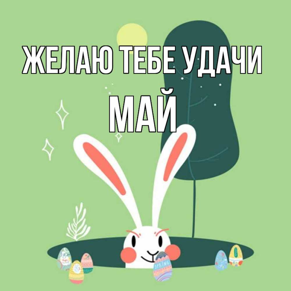 Открытка на каждый день с именем, Май Желаю тебе удачи заяц Прикольная открытка с пожеланием онлайн скачать бесплатно 