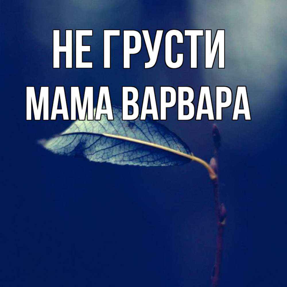 Открытка на каждый день с именем, Мама-Варвара Не грусти растение Прикольная открытка с пожеланием онлайн скачать бесплатно 