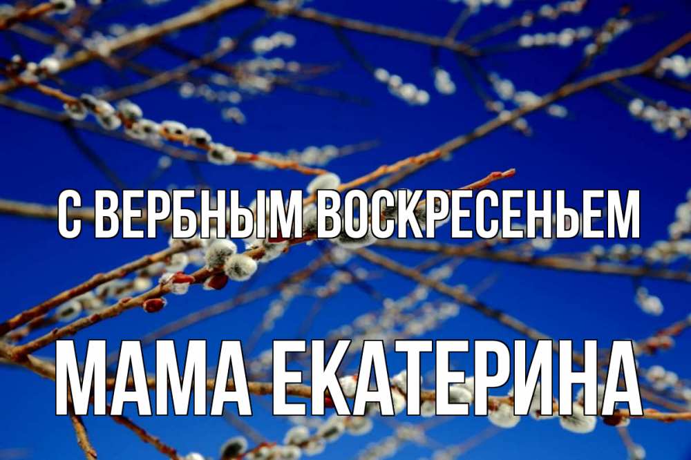 Открытка на каждый день с именем, Мама-Екатерина С вербным воскресеньем верба Прикольная открытка с пожеланием онлайн скачать бесплатно 