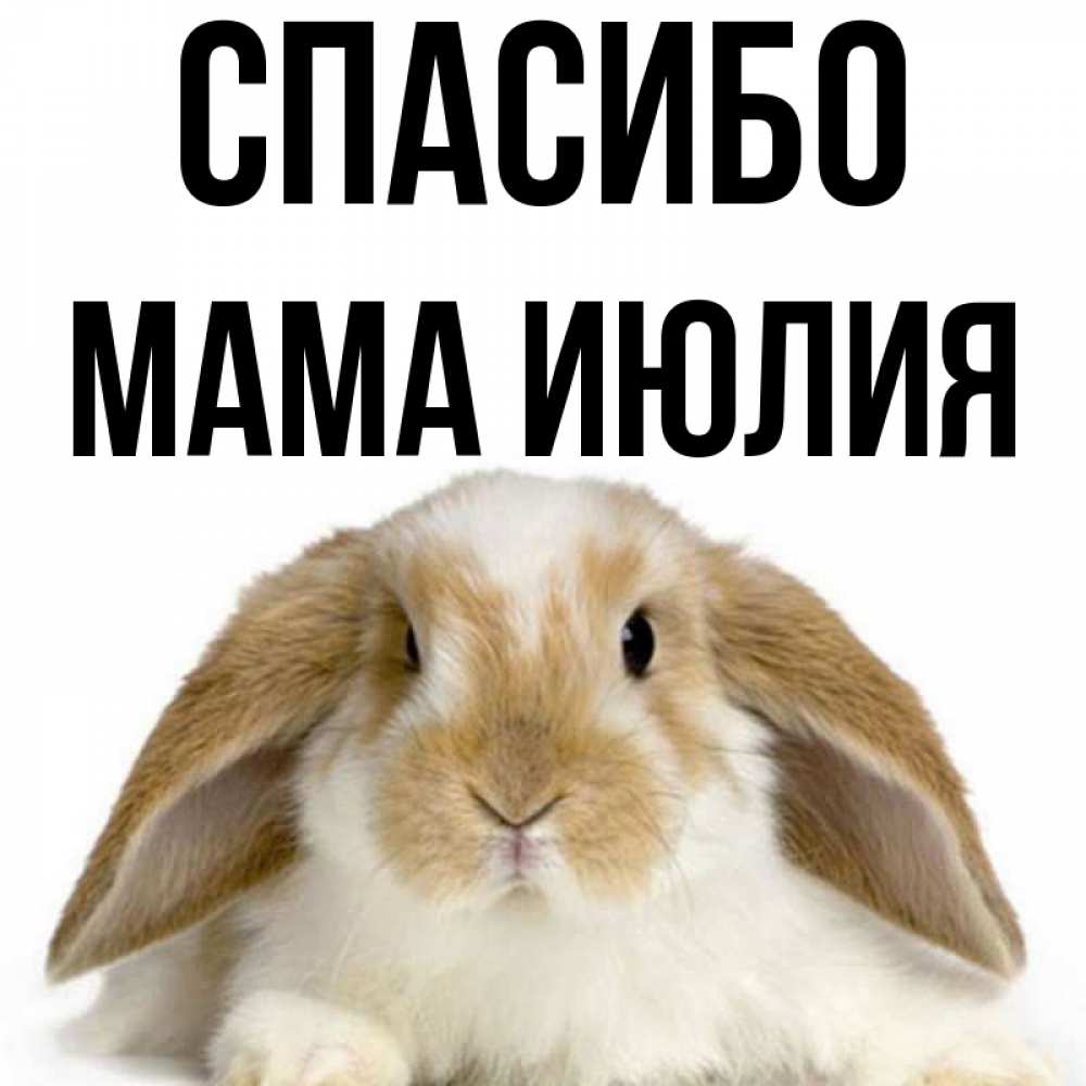 Открытка на каждый день с именем, Мама-Июлия Спасибо коричнево белый заяц Прикольная открытка с пожеланием онлайн скачать бесплатно 