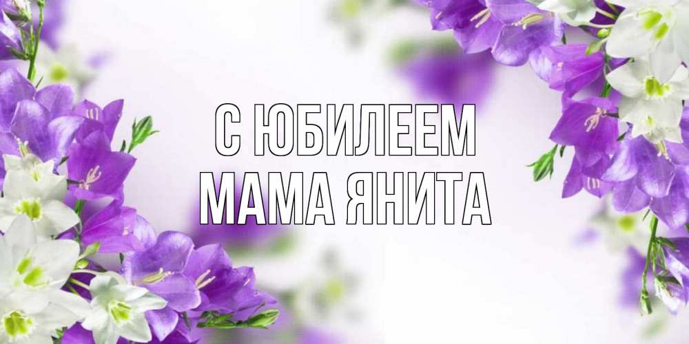 Открытка на каждый день с именем, Мама-Янита С юбилеем открытка на день рождения с сиреневыми цветами Прикольная открытка с пожеланием онлайн скачать бесплатно 