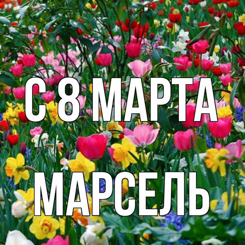 Открытка на каждый день с именем, Марсель С 8 МАРТА с международным женским днем поздравления для женщины Прикольная открытка с пожеланием онлайн скачать бесплатно 