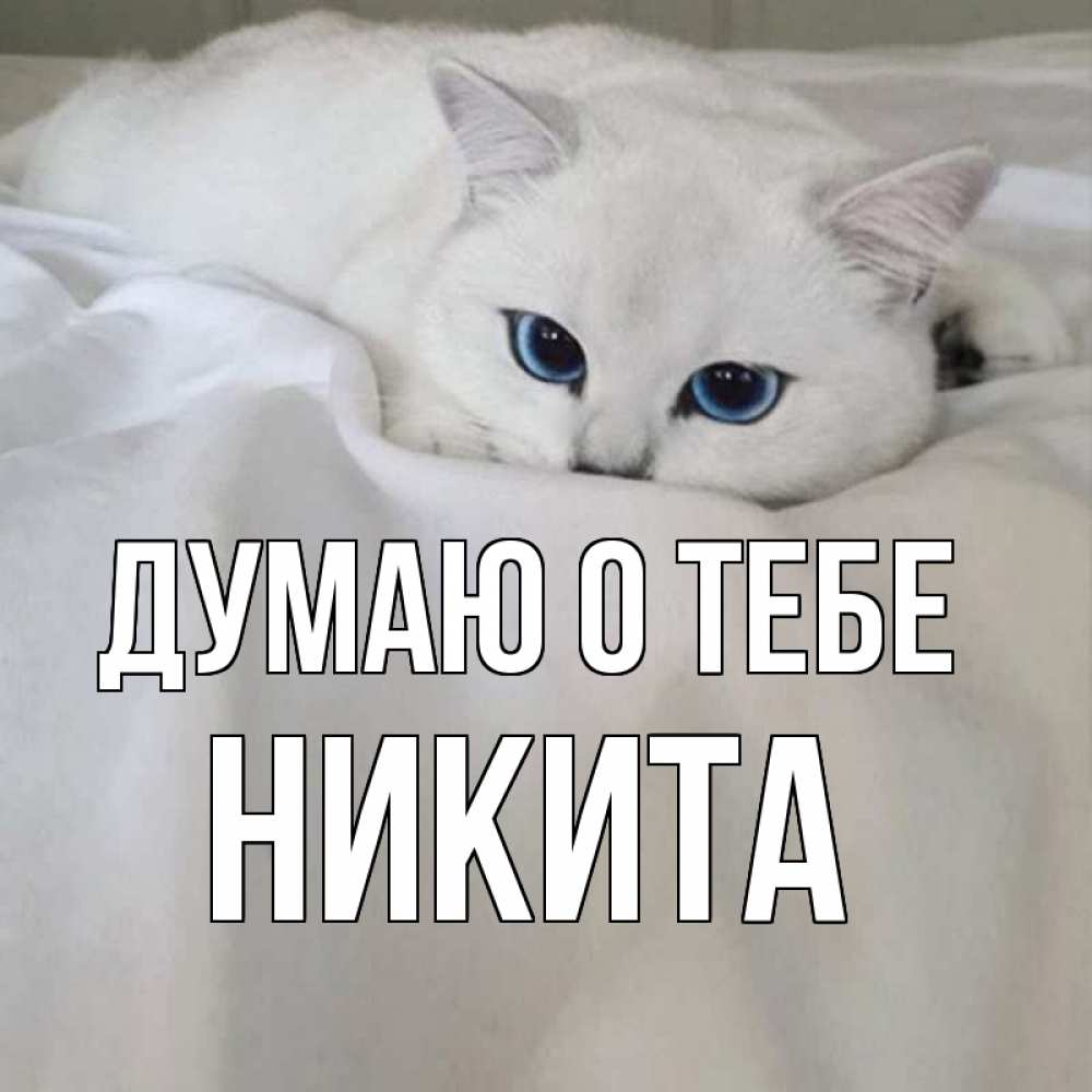 Открытка на каждый день с именем, Никита Думаю о тебе я очень по тебе скучаю и тоскую Прикольная открытка с пожеланием онлайн скачать бесплатно 